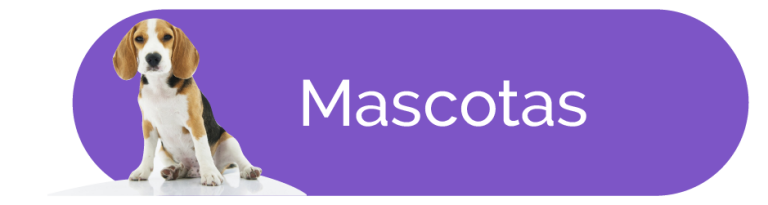 Colchones Selther para mascotas, de la mejor calidad